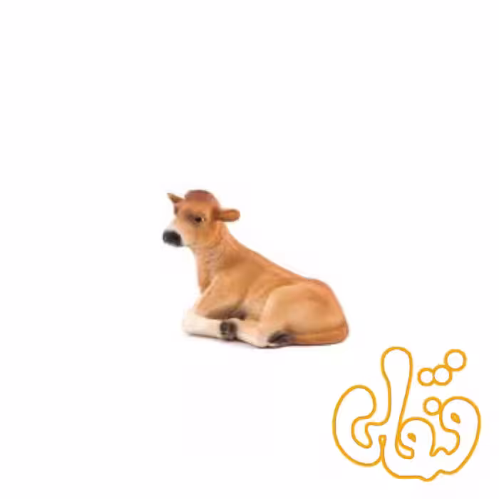 گوساله جرسی نشسته Jersey Calf Lying Down 387144