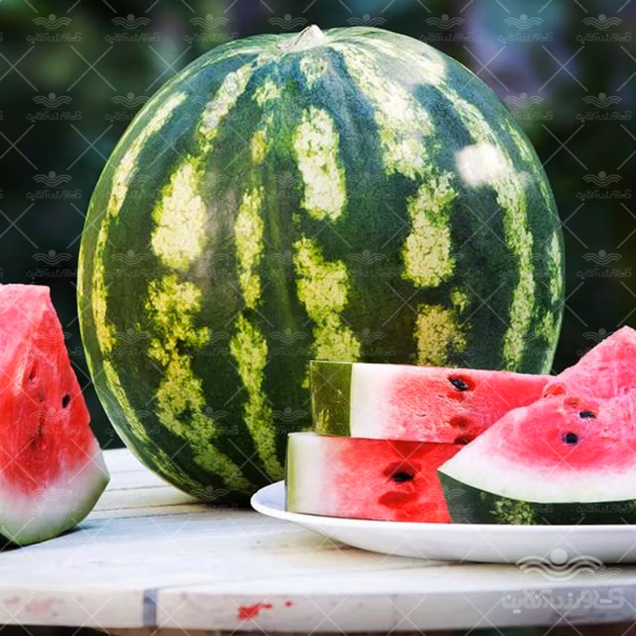 هندوانه کریمسون کیان سید