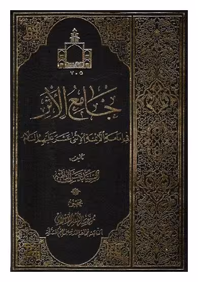 جامع الاثر فی امامه الائمه الاثنی عشر علیهم السلام