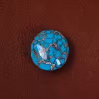 نگین فیروزه شجری کد 29606 - جواهری مشاهیر