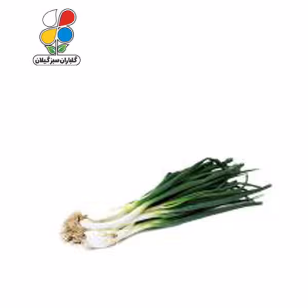 بذر پیازچه سفید بسته بندی کوچک