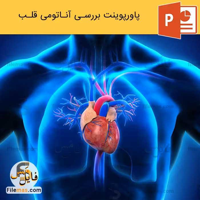 پاورپوینت آناتومی قلب