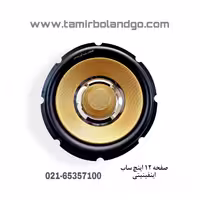 صفحه ساب ووفر 12 اینچ اینفینیتی طلایی