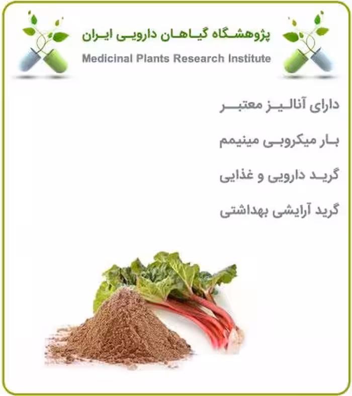 عصاره ریواس خشک یا پودری
