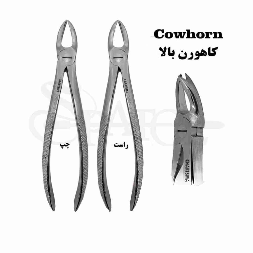 کاهورن بالا ( چپ و راست ) برند کاریزما CHARISMA