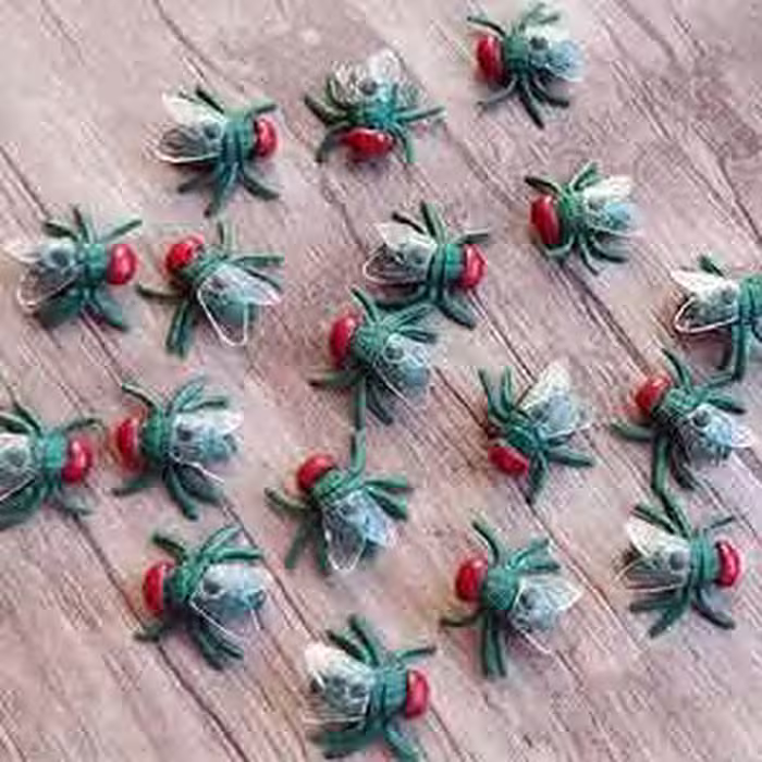 مگس ژله ای 10 عددی