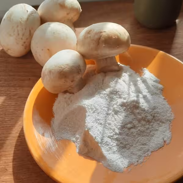 ادویه قارچ خامه  (100گرمی )