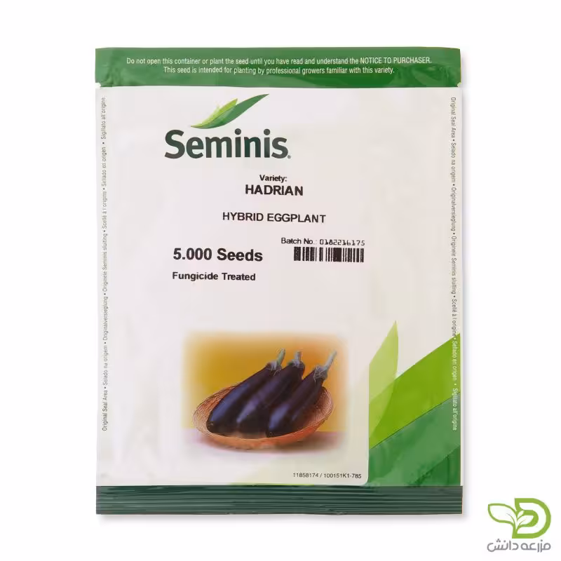 بذر بادمجان قلمی هادریان (هادرین) سمینیس