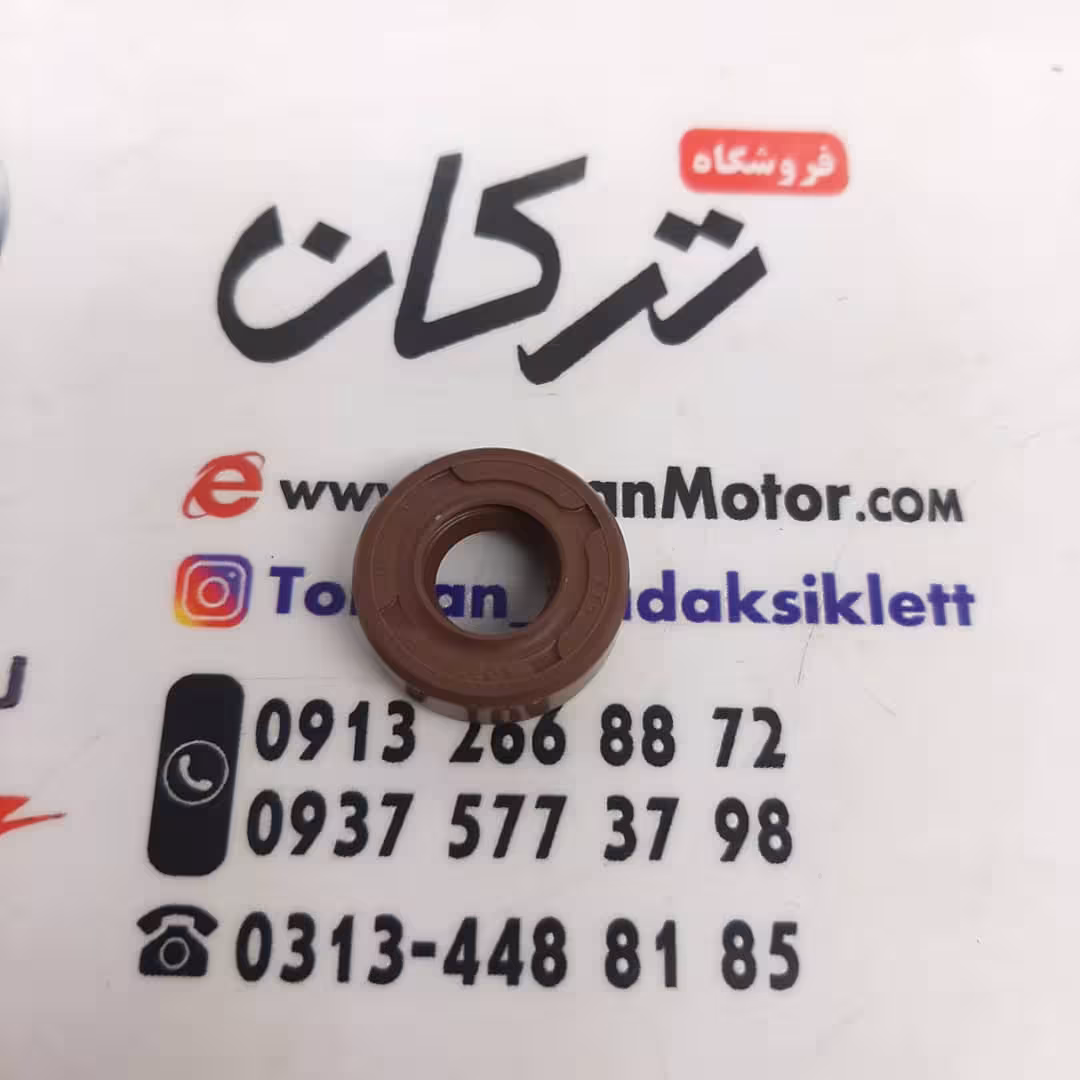 کاسه نمد سر میلنگ موتور پالس NS 150 ان اس شماره 10/19/7