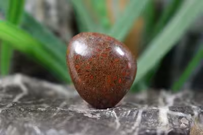 فسیل استخوان دایناسور