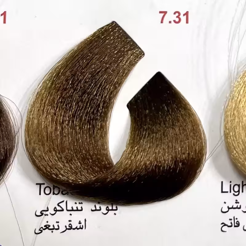 بلوند تنب اکویی 7.31 ،رنگ مو کم آمونیاک پیلون ویک عدد اکسیدان | amazonchi