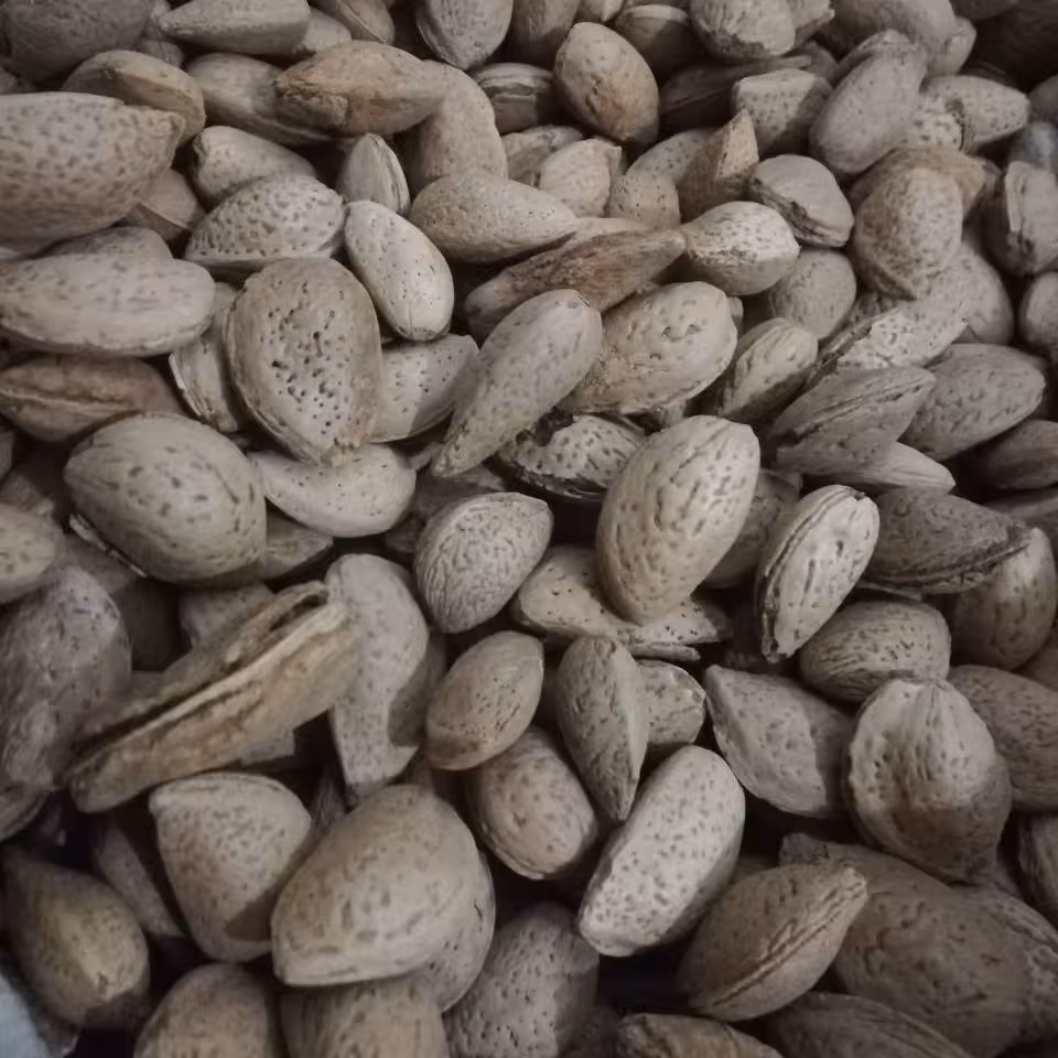 بادام سنگی (500 گرمی)