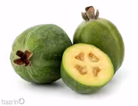 بذر فوجیا