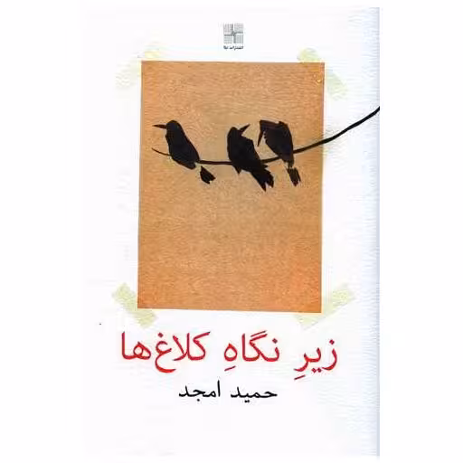 کتاب زیر نگاه کلاغ ها اثر حمید امجد