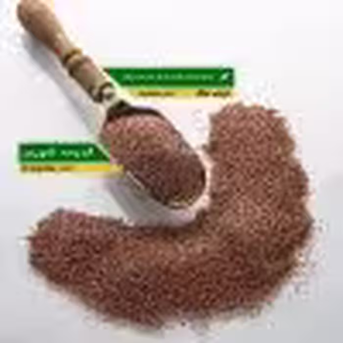 قدومه شهری