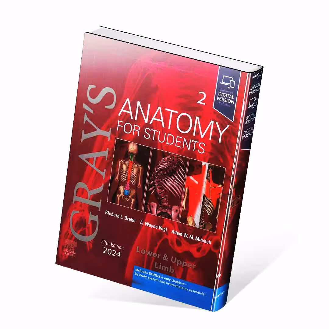 آناتومی گری 2024 جلد دوم اندام زبان اصلی Gray’s Anatomy for Students vol 2 (5th edition) 2024