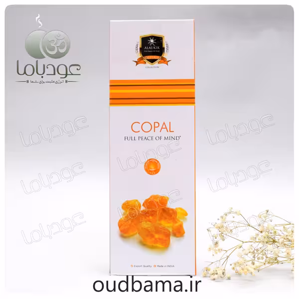 عود دست ساز کوپال COPAL ( آلوکیک ALAUKIK )