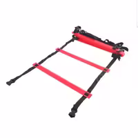 نردبان چابکی مدل PowerX 5mr طول 5 متر