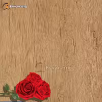 پارکت لمینت کرم عسلی کد 800