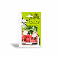 بذر تربچه قرمز آرکا بذر ایرانیان