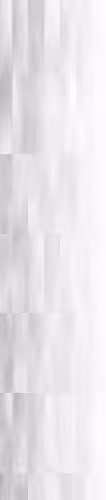 خرید و دانلود نسخه کامل کتاب C-5060 Wide Zoom