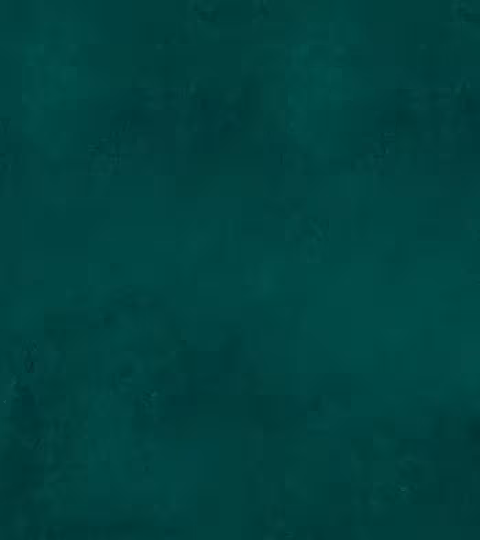 بک دراپ چاپی کد 588 (در 4 سایز)