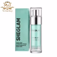 پرایمر آبرسان شیگلم