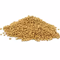 گندم برشته شده 1 کیلوگرمی