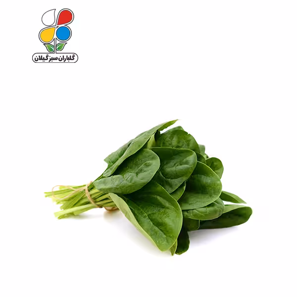 بذر اسفناج بسته بندی سه عددی