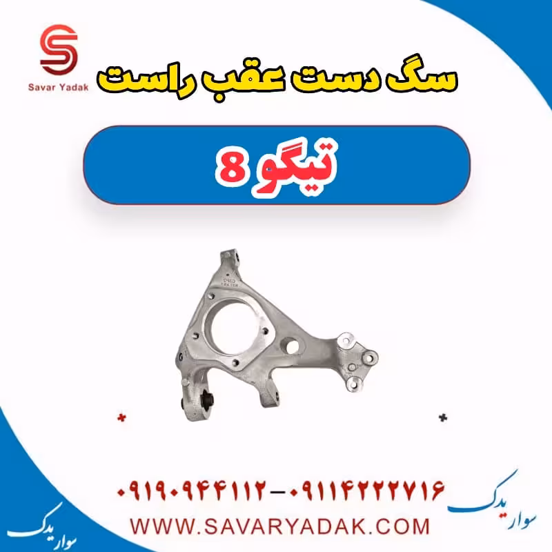 سگ دست عقب راست تیگو 8