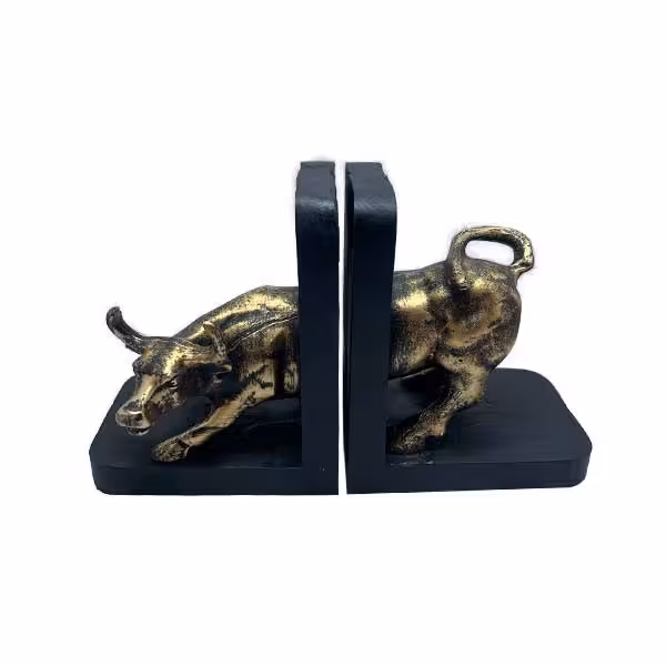 نگهدارنده کتاب مدل گاو مجموعه 2 عددی