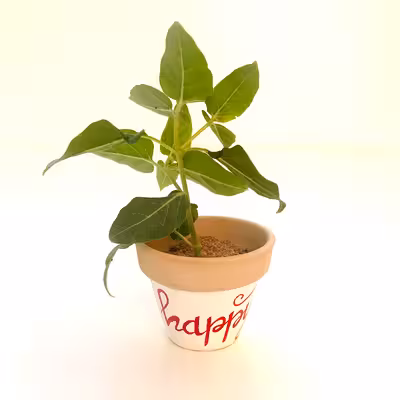 گلدان سفالی مدل happy کد 3