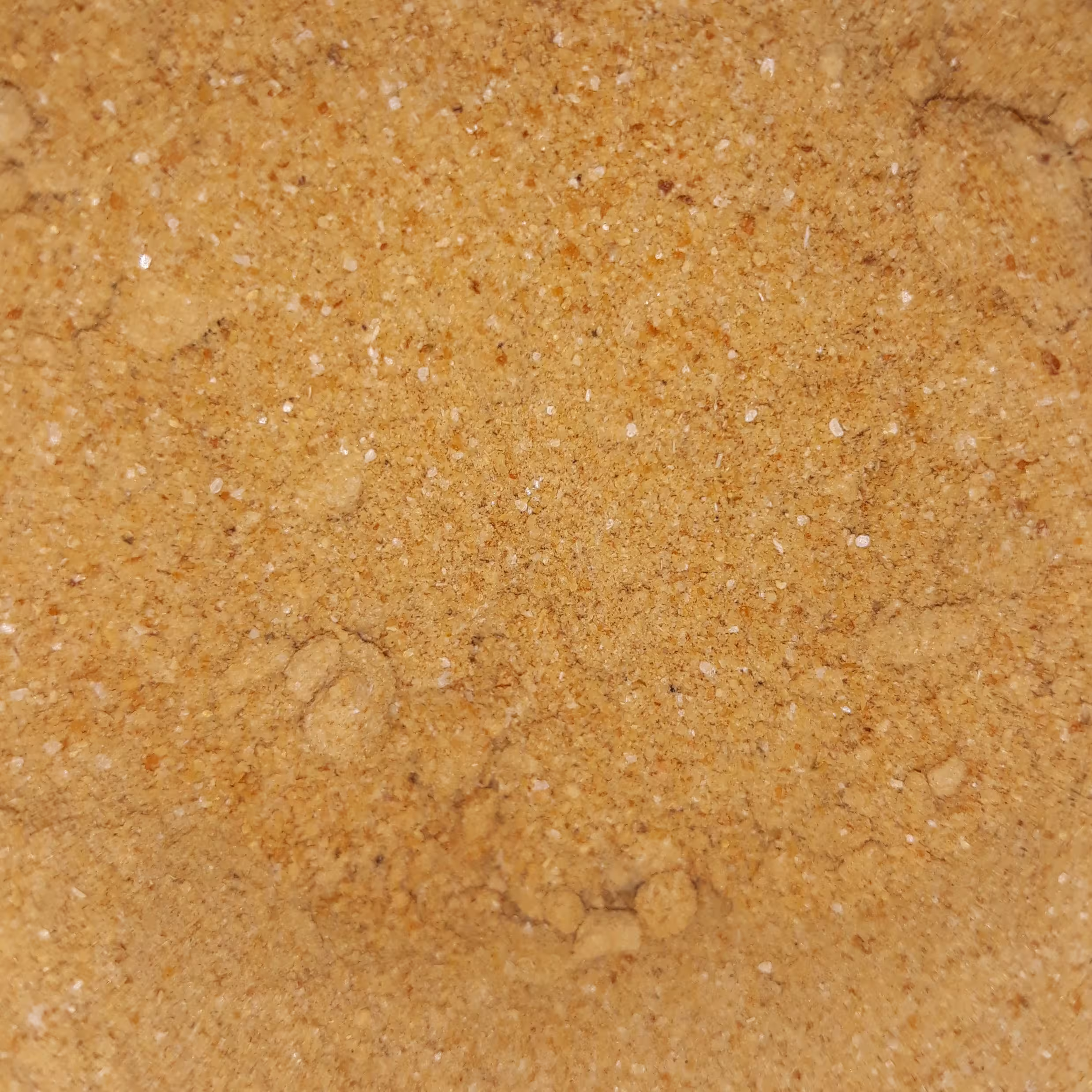 پودر پیاز درجه یک 100گرمی