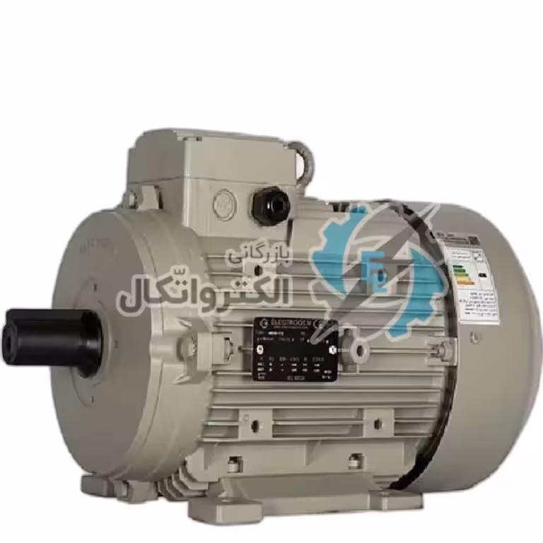 الکتروموتور 3 فاز فریم 132 آلومینیومی 7.5 کیلووات (10 اسب) 1500 دور الکتروژن ا Electromotor 3-phase frame 132 aluminum 7.5 kW (10 hp) 1500 rpm