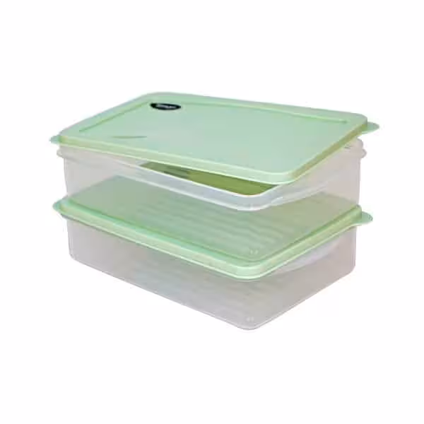 ظرف فریزری لیمون مدل نسترن بسته 2 عددی کد 3934