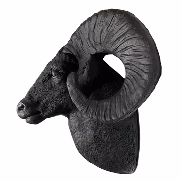 مجسمه مدل بز کوهی