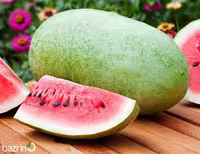 بذر هندوانه چارلستون کانیون F1
