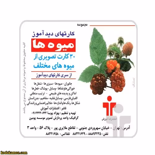 کارت دید آموز میوه ها