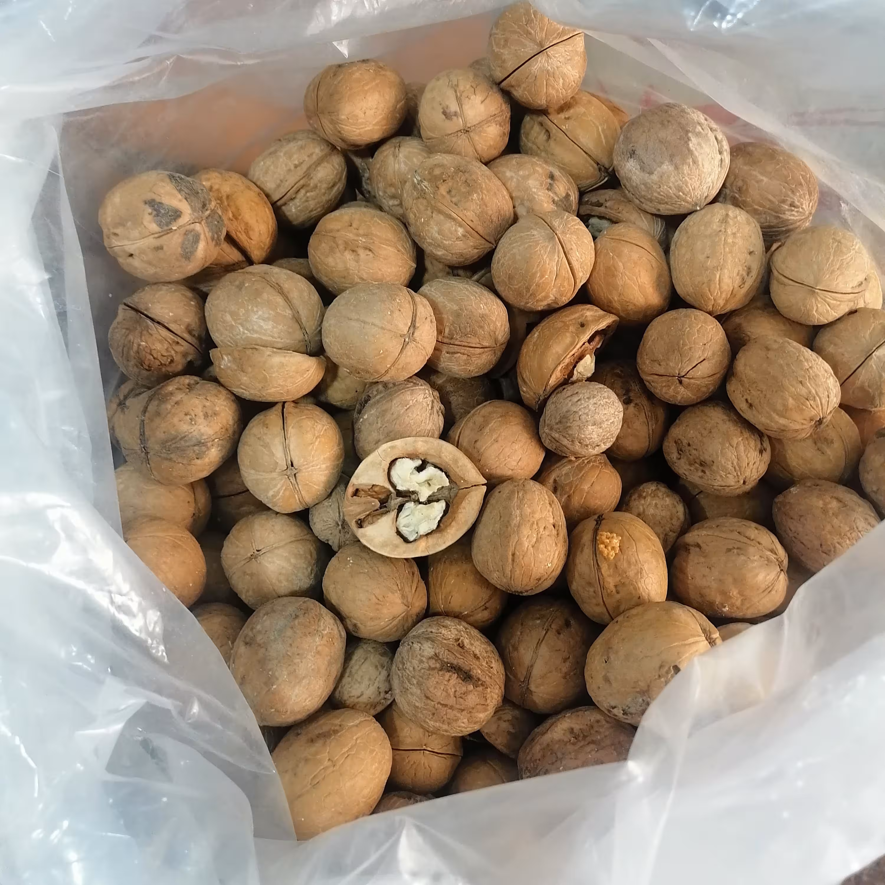 گردو ایرانی امسالی کاملا  خوش طعم  و   پوست کاغذی 