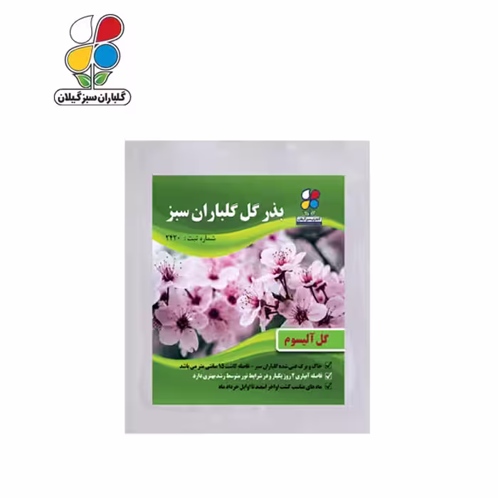 بذر گل آلیسوم بسته بندی بزرگ ( بسته 24 عددی )