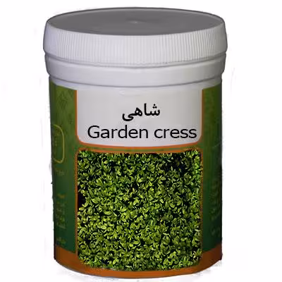 بذر شاهی رامان