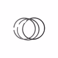 رینگ پیستون فیدلیتی پرایم