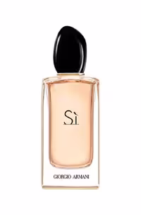 Giorgio Armani Si EDP 100 ml - ادوپرفیوم زنانه جورجیو آرمانی سی حجم 100 میلی لیتر - نگین عطر