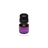 مونوباند پلاس IVOCLAR – MonoBond Plus universal primer