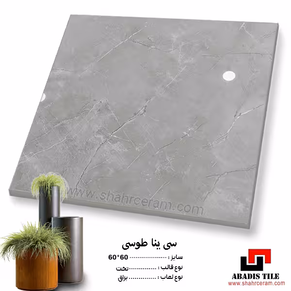 سرامیک siyena سیینا _60*60 کاشی و سرامیک آبادیس