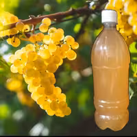 سرکه انگور طبیعی خانگی تهیه شده از بهترین انگورهای سالم  و ارگانیک