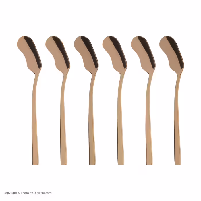 قاشق بستنی خوری ناب استیل مدل فلورانس پی وی دی بسته 6 عددی