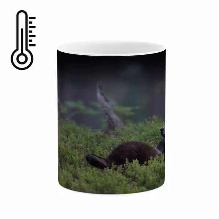 ماگ حرارتی   خرس کد mgh14165