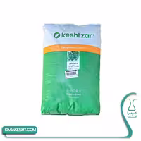 بذر سبزی گشنیز اصلاح شده کشتزار، بسته 1 کیلویی