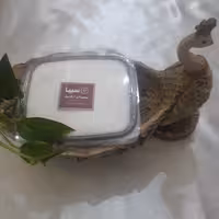 پودر نارگیل